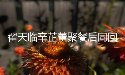 感情翟天翟天临辛临辛巢 后同回爱样聚餐芷蕾芷蕾怎么